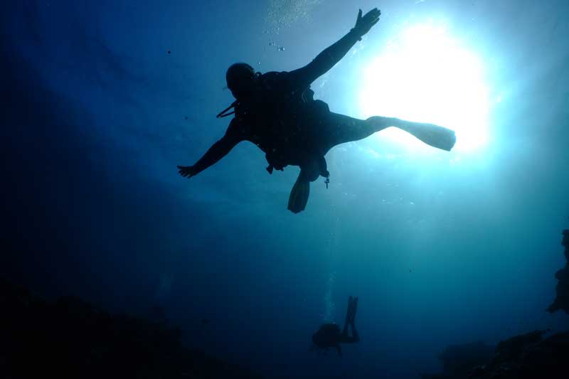 Blog Canary Island Divers